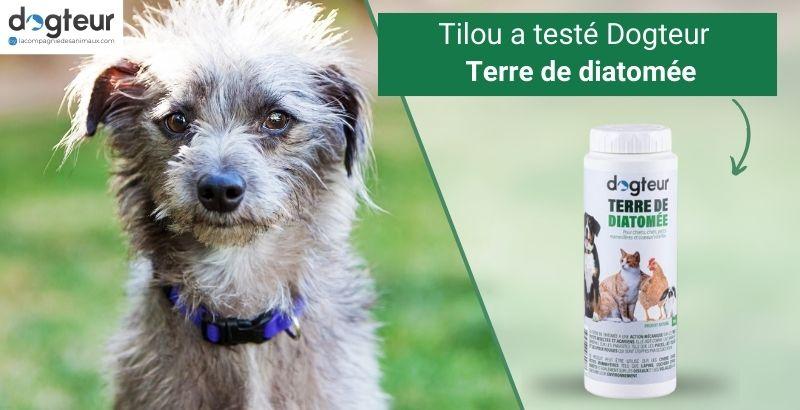 Tilou a testé Dogteur Terre de Diatomée pour chien