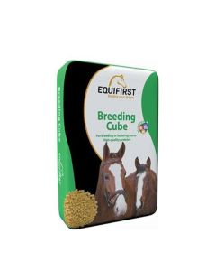 Equifirst Breeding Cube Cavallo 20 kg