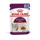 Royal Canin Sensory Taste bocconcini in gelatina per gatto 12 x 85 g