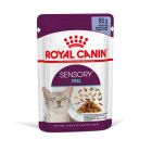 Royal Canin Sensory Feel straccetti in gelatina per Gatto 12 x 85 g