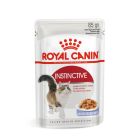 Royal Canin Feline Health Nutrition Instinctive in gelatina 12 x 85 g