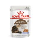 Royal Canin Ageing +12 en gelée sachets pour chat 12 x 85 g- La Compagni