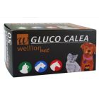 WellionVet Bandelettes pour Glucomètre Gluco Calea 50 p