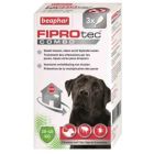 Beaphar Fiprotec Combo grands chiens 20-40 kg 3 pipettes- La Compagnie des Animaux