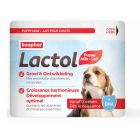 Beaphar Lactol lait maternisé pour chiots 250 g- La Compagnie des Animaux