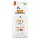 Brit Care Hypoallergenic Chien Junior Grande Race Agneau 12 kg