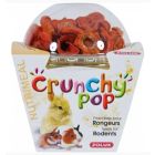 Zolux Crunchy Pop Carota roditori 43 gr