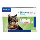 Effipro Duo Gatto 24 pipette