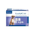 Fortiflex 375 cane 180 cpr