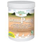 Granuponte 1 kg