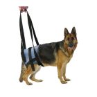 Harnais Handy Canis pour chien paralysé