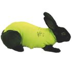 Medical Pet Shirt Lapin Gilet Protecteur XS