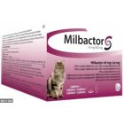 Milbactor Gatto + di 2kg 2 cpr