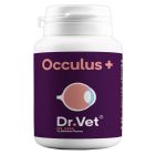 Arcanatura Dr Vet Occulus+ Gatto Cane 30 cp