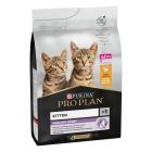 Purina Proplan Optistart Original Kitten au poulet 3 kg- La Compagnie des Animaux