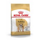 Royal Canin Bulldog Adult - La Compagnie des Animaux