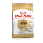 Royal Canin Labrador Retriever Adult 5+ 3 kg