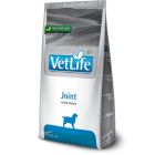 Farmina Vet Life Joint Cane 2 kg