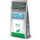 Farmina Vet Life Renal Cane 2 kg