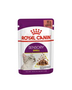 Royal Canin Sensory Smell bocconcini in salsa per Gatto 12 x 85 g
