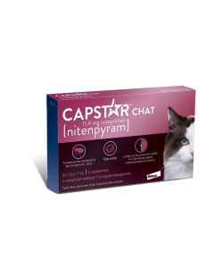 Capstar 11,4 mg gatti
