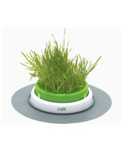 Cat It Senses Grass Planter - Vaso per erba gatta