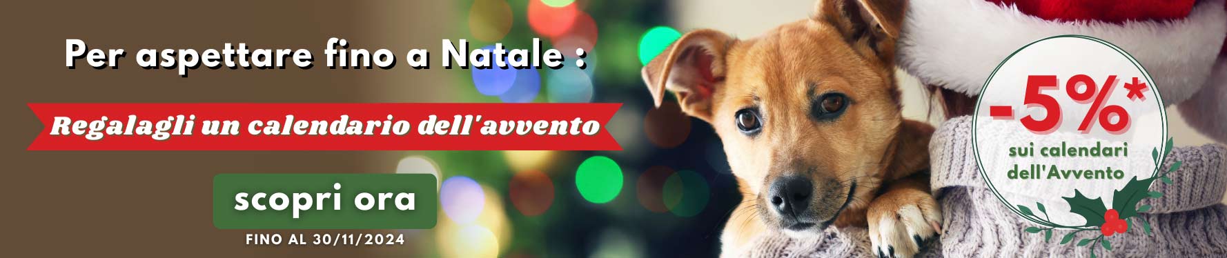 Per aspettare fino a Natale : Regalagli un calendario dell'avvento