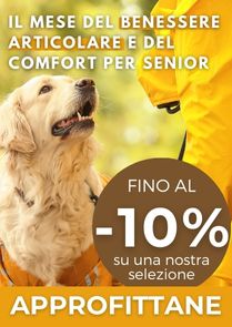 il mese del Benessere Articolare e del Comfort per Senior