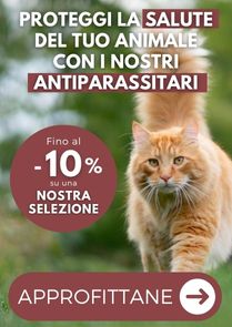 Le nostre soluzioni per combattere il sovrappeso del tuo animale