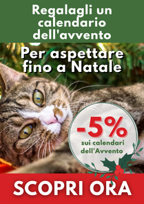 Regalagli un calendario dell'avvento